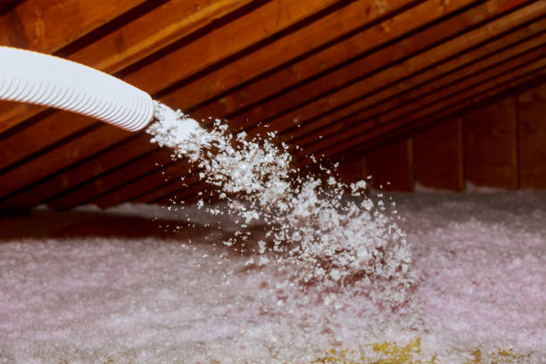 Best Insulation Removal  in Muse, PA