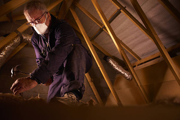 Best Insulation for New Construction  in Muse, PA