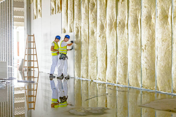 Best Insulation Repair Services  in Muse, PA